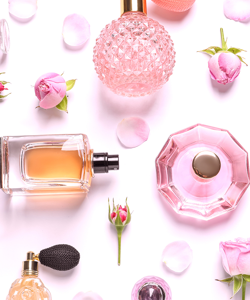 カラーパレットの元画像