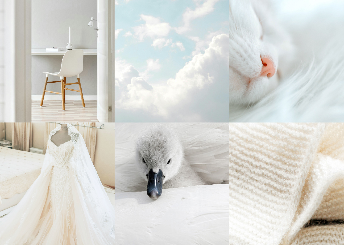 クラウドダンサーのイメージ集合写真